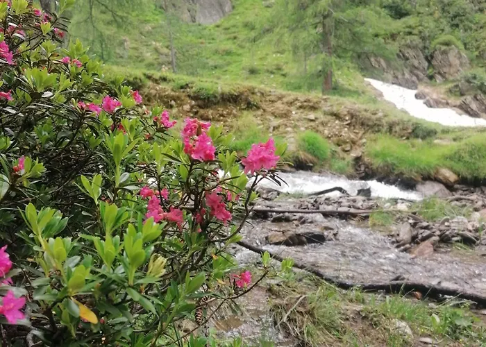 Bachmann Apartamento