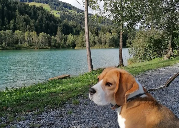 Apartamento Bachmann