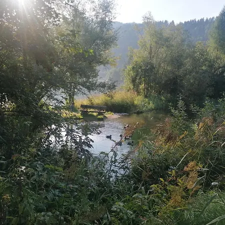 Apartmán Bachmann *